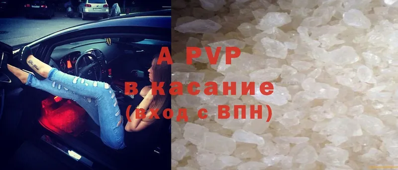 A PVP СК КРИС  Мосальск 